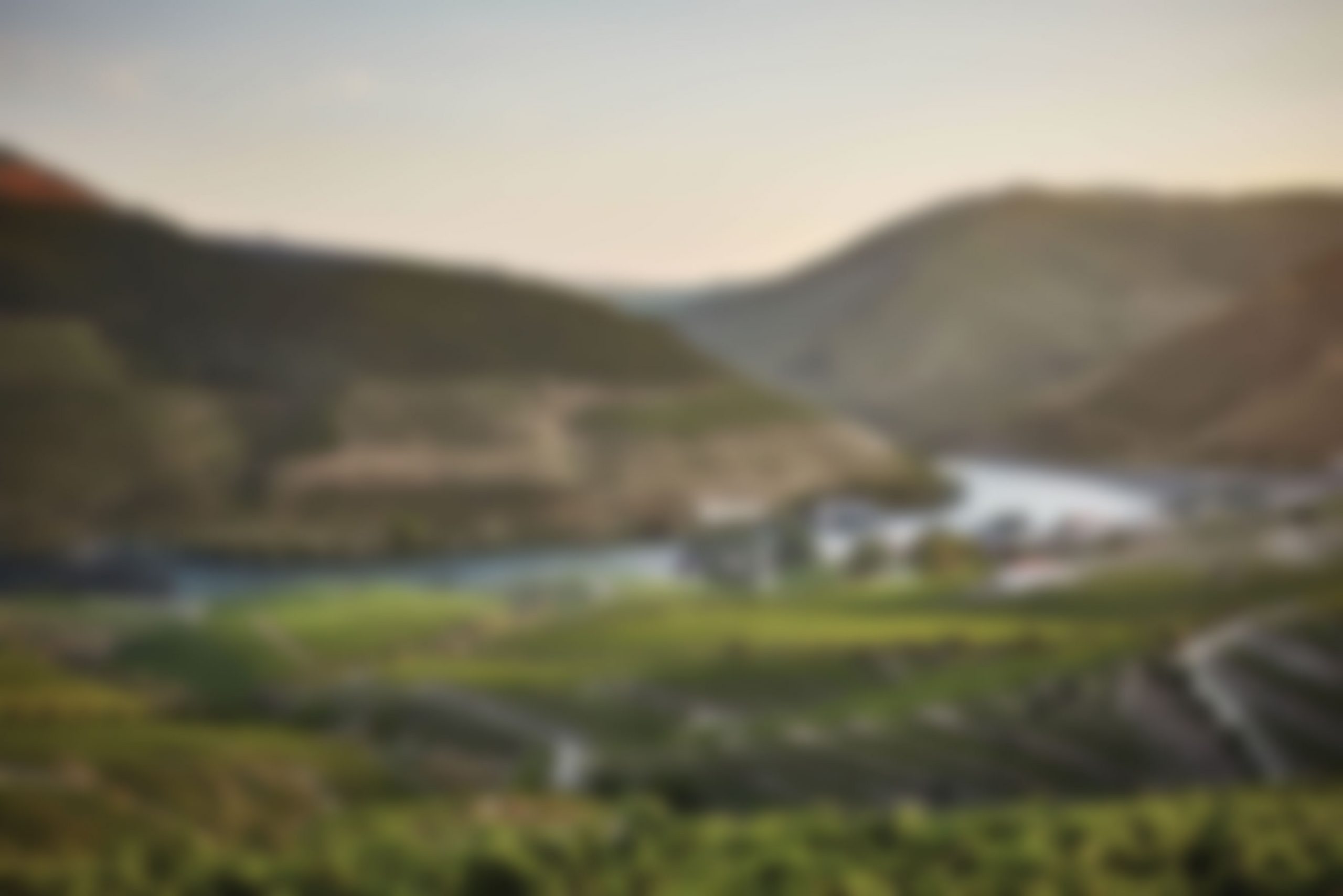 Douro-Valley-weichgezeichnet